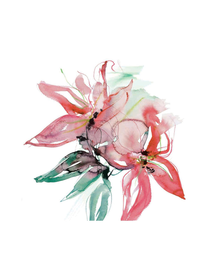 Amazon lily -lautasliinat 24 cm, 20 kpl