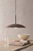 Kattovalaisin Moonbeam