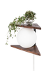 Seinävalaisin Angolo Puu