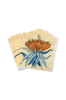 Paperilautasliinat Frittalaria, 20/pakk.